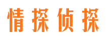 芦淞市场调查